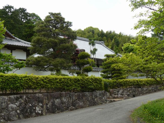 崗����i�R�ƁF��񎛁j