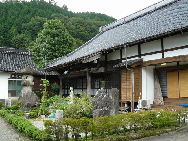 �@�_���i�R���ƁF��񎛁j