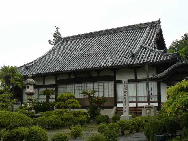 �_�����i�ʏ������F��񎛁j