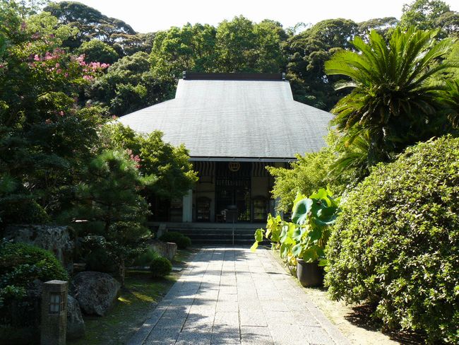 �l�V�����i�����ƁF��񎛁j