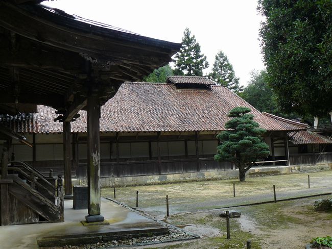 �i�����i��萬���F��񎛁j