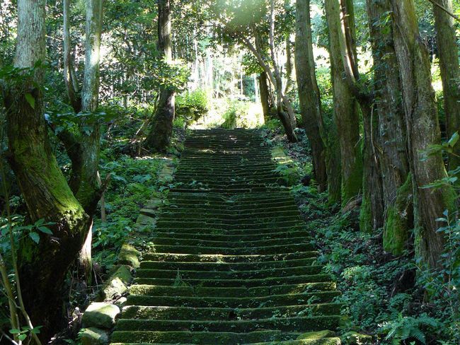 �Ɋy���Ձi�g���o�_�F��񎛁j