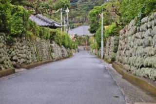 ���[���Ɖ��~�̒�����