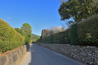 �m�����F���Ɖ��~�̒�����