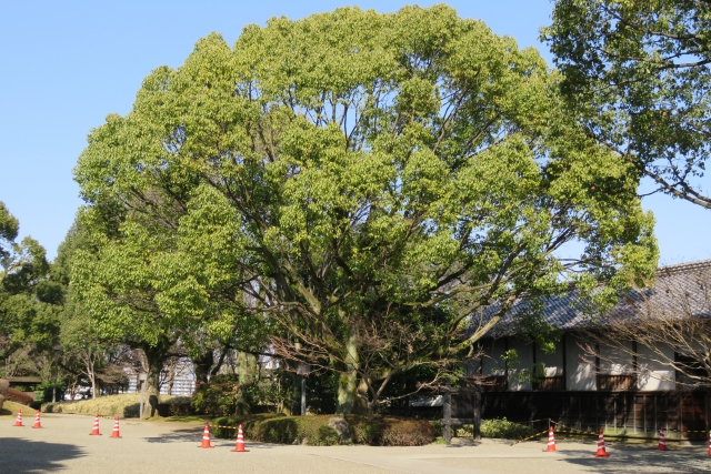 ���א�Y���@