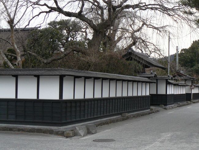 ����@�i�{�錧�o�Ē��̕��Ɖ��~�j