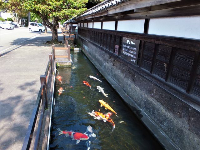 ���P�n�ˎ��t�Ɖ����~