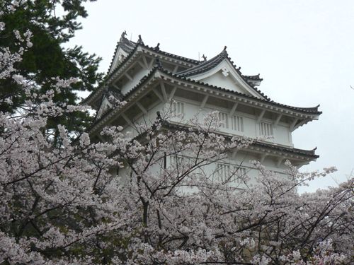 ���R��E�����E�i��s���z�F���w��d�v�������j