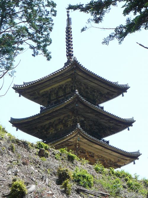 �������i�O�d���E�w�����z�F���w��d�v�������j