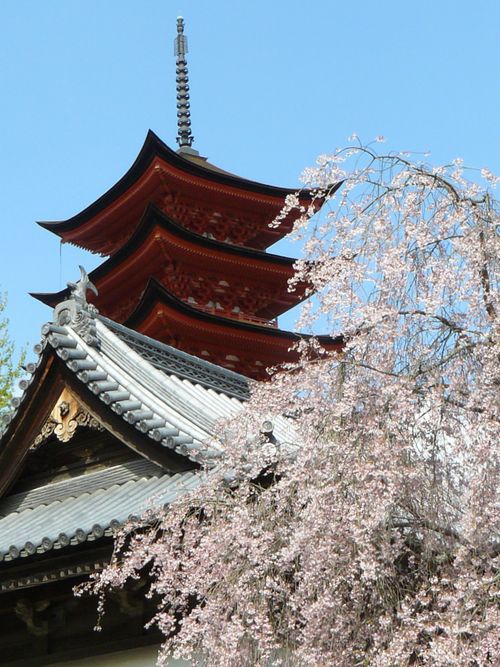 �����_�Ёi�܏d���E�w�����z�F���w��d�v�������j