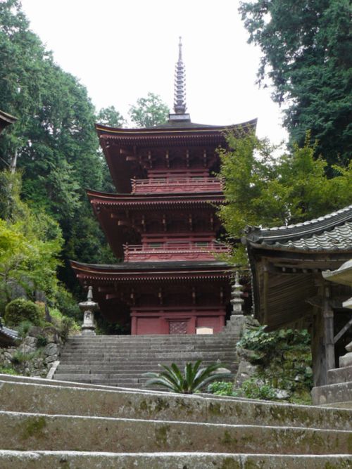 �������i�O�d���E�w�����z�F���w��d�v�������j