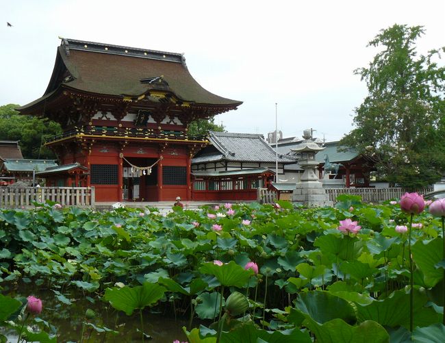 �ɉꔪ���{�i���m������s�j