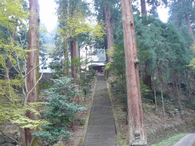 ���`�_�Ёi�Q�n���E�x���s�j�摜