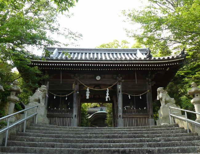 ���_�Ёi���Ɍ��ԕ�s��z�j