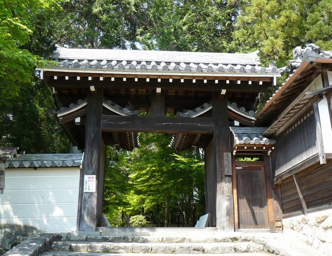 ���c�_�Ёi���Ɍ��쐼�s���c�@�j