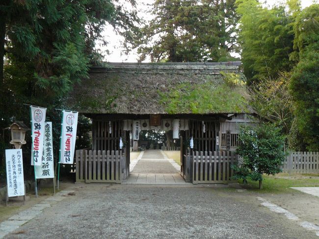 �헤�����Ћ{�i��錧�Ή��s�j