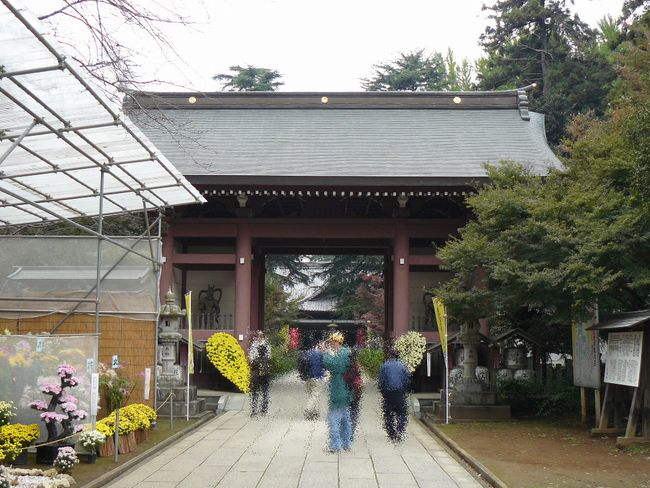 大宝八幡神社（関東地方最古の八幡神社）