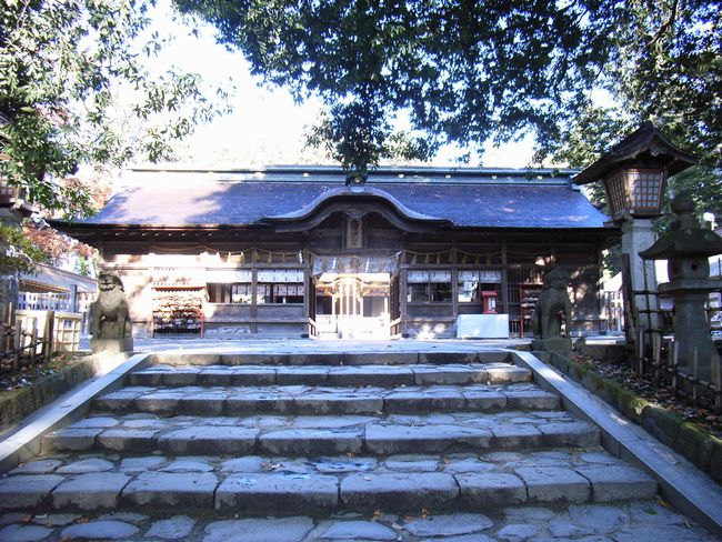 ��蔪���{�i����F�����j