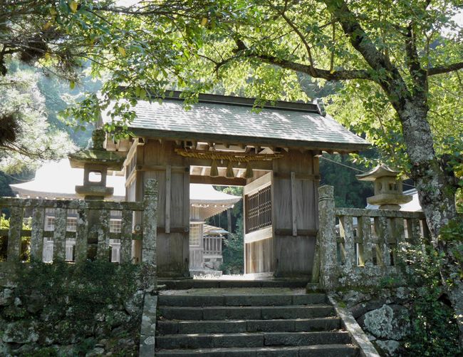 �ɓސ��g��_��