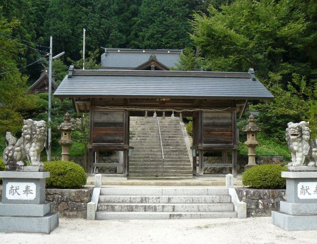 ���c�����{