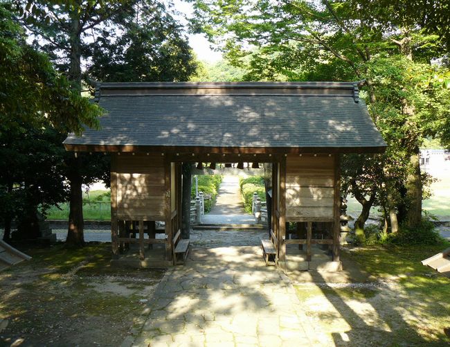 ���m��_��