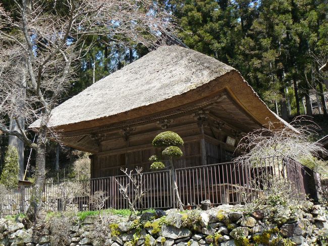 ��������t��