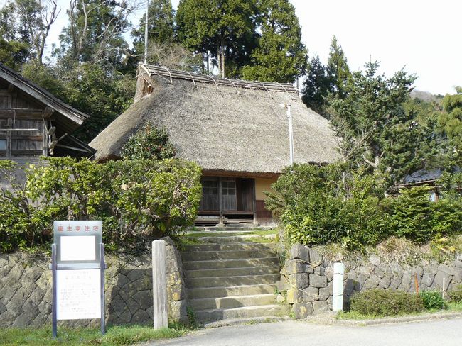 ����ƏZ��