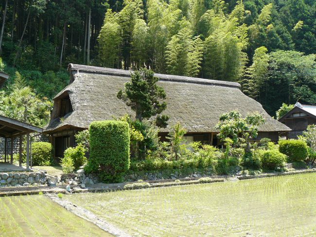 ���s��ƏZ��