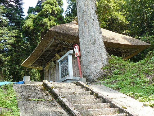 �~�����i�ω����j