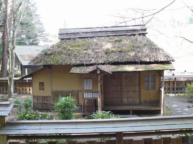 �������f����