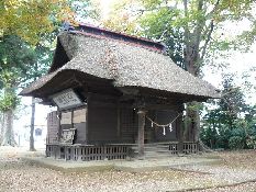 �����_��