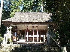 �ɍ���_��