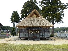 �����_��