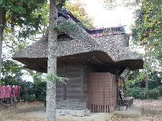 �����_��