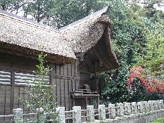 �����_��