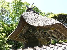 ����O�_��