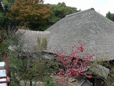 �����h�{�w