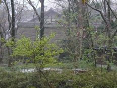 �쑽�ƏZ��i������j