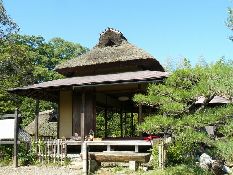 ���{���i�P�đ�j