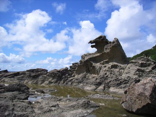 �j������