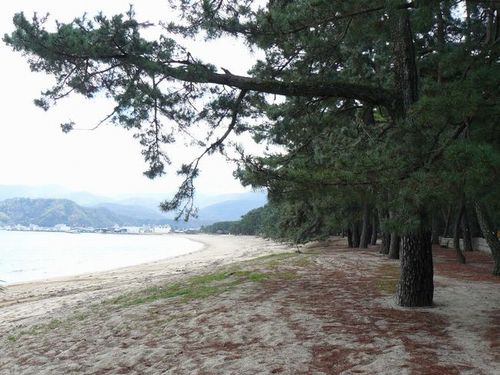 �C��̏���