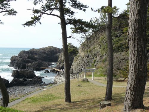 �z�O����