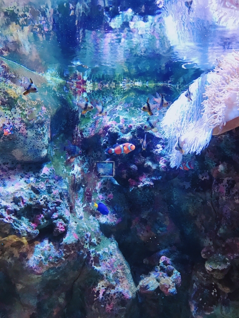 �z�O����������