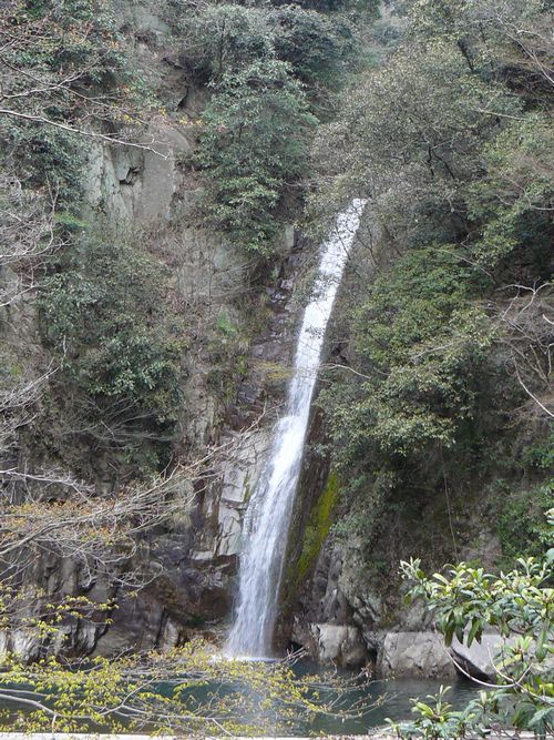 �z���̑�i����j