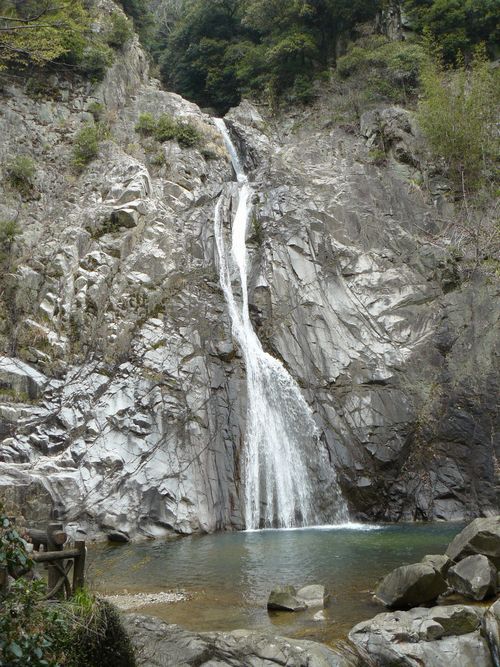 �z���̑�i�Y��j