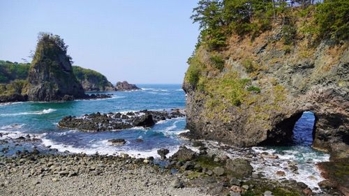 ��̑���F�摜�i�ޖ�z�Ɍ����i�ρj