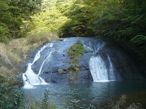 �����̑�