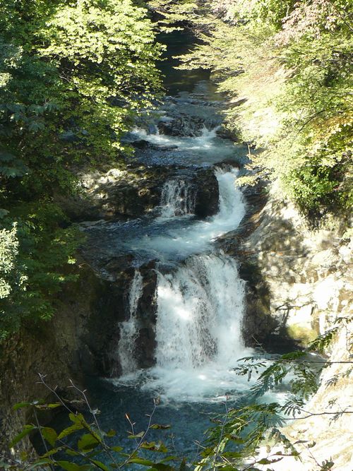 �P�l�\����