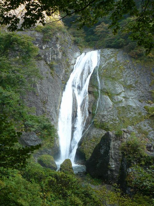 �郖��i���j