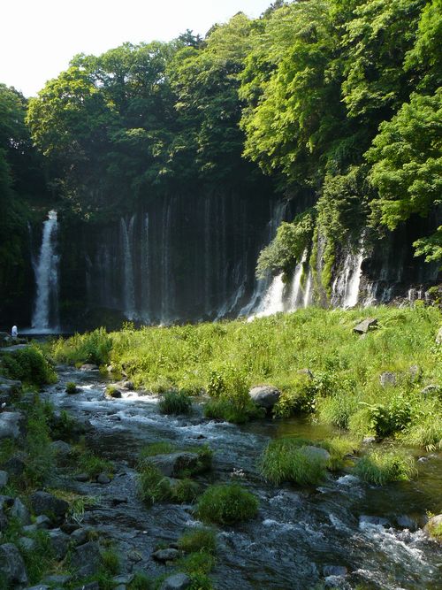 �����̑�